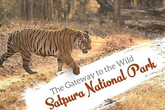 Satpura Wildlife Reserve